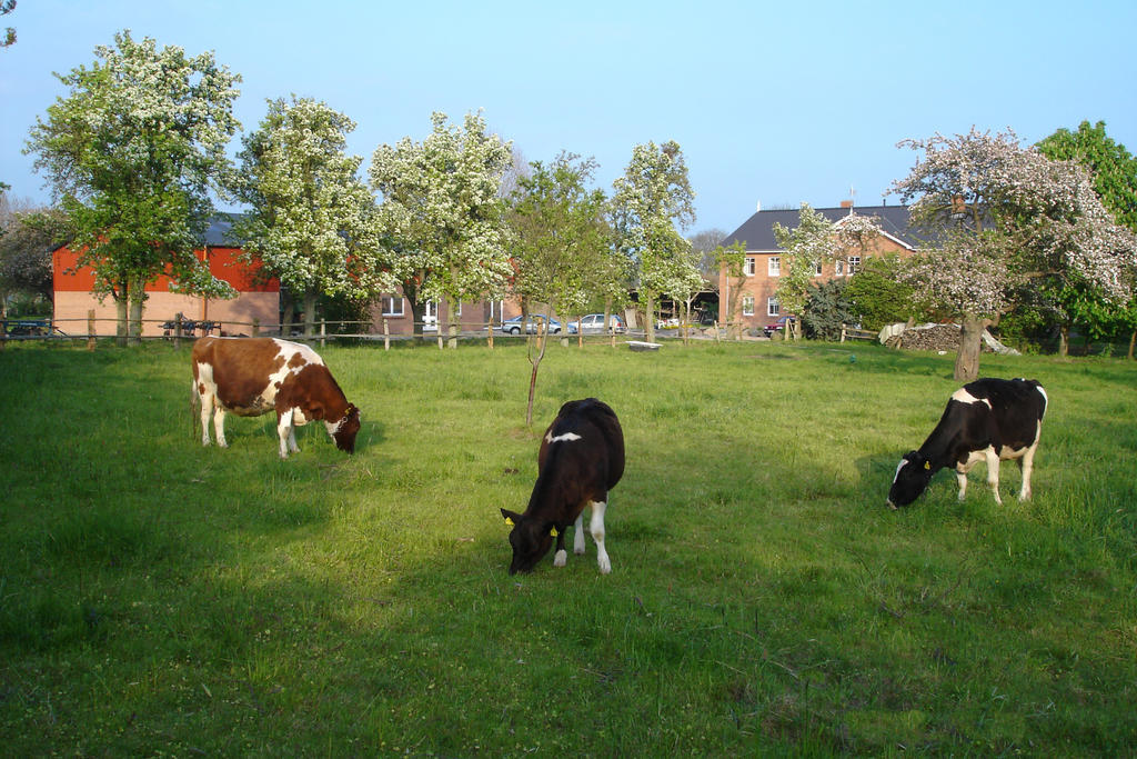 Hof Faasel - Bauernhofurlaub An Der Ostsee Groemitz Ngoại thất bức ảnh